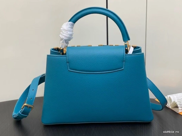 WIS VUITTON CAPUCINES MM LOUIS 0813